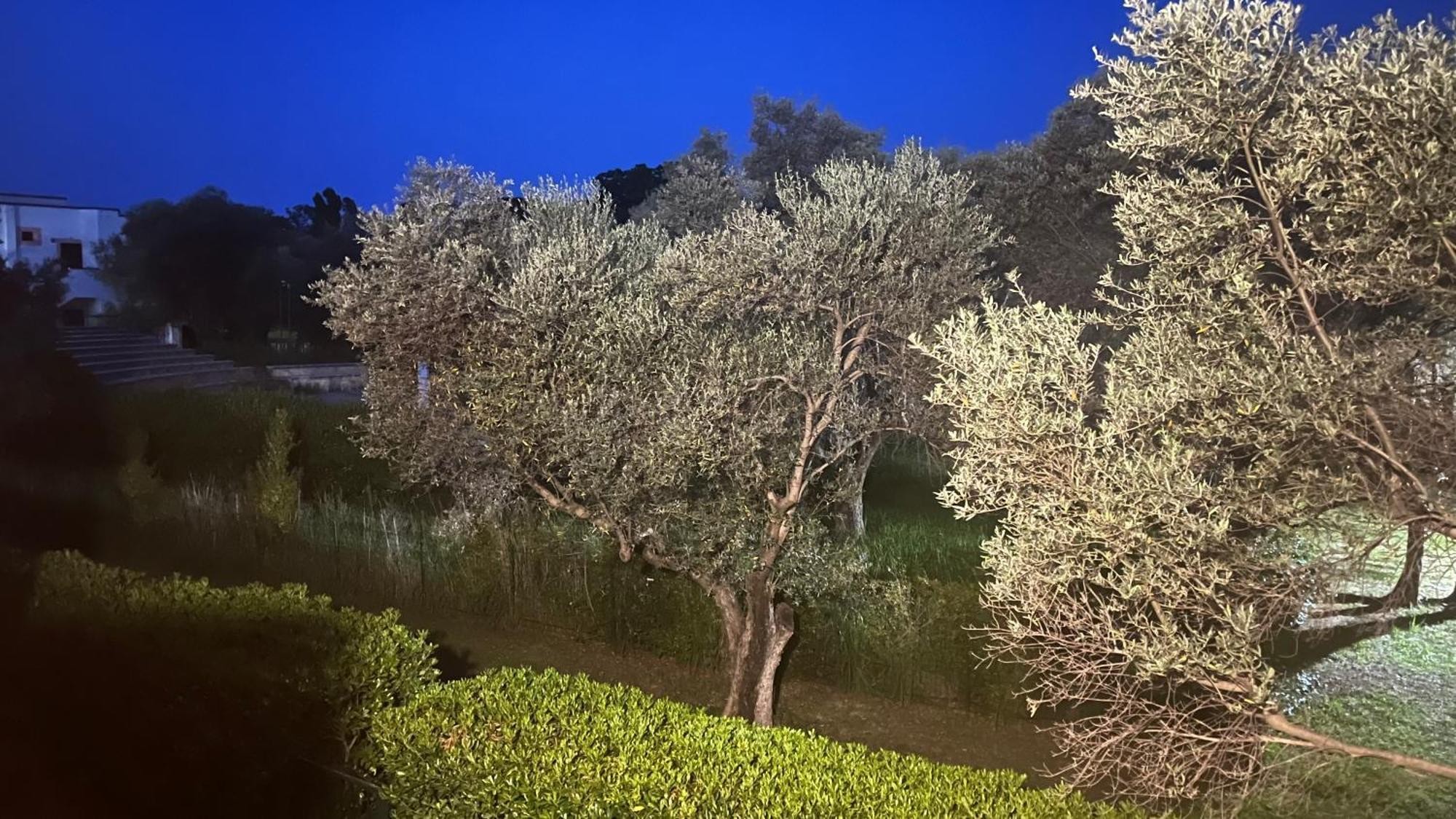 L'Isola Dei Vacanzieri سانت اندريا ابوستولو ديلو اونيو المظهر الخارجي الصورة